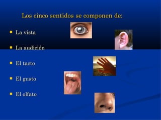 Los cinco sentidos se componen de:

   La vista

   La audición

   El tacto

   El gusto

   El olfato
 
