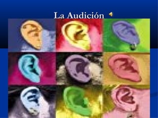 La Audición
 