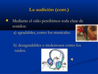 La audición (cont.)

   Mediante el oído percibimos toda clase de
    sonidos:
     a) agradables, como los musicales.

    b) desagradables o molestosos como los
    ruidos.
 