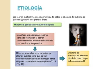 Las teorías explicativas que imperan hoy día sobre la etiología del autismo se
pueden agrupar e dos grandes áreas.
Identificar una alteración genérica
conocida y estudiar el patrón
comportamental anormal relacionando
con esa alteración genética.
Diversas anomalías en el cariotipo de
algunos autistas en lo que se han
detectado alteraciones en la mayor parte
de pares cromosómicos (excepto en 7, 14,
19 y 20)
Una falta de
sustancia en extremo
distal del brazo largo
del cromosoma X
 