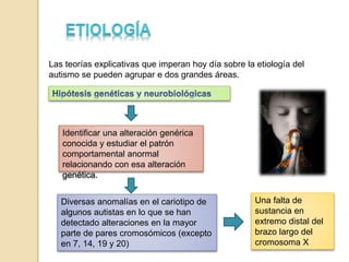 Las teorías explicativas que imperan hoy día sobre la etiología del
autismo se pueden agrupar e dos grandes áreas.
Identificar una alteración genérica
conocida y estudiar el patrón
comportamental anormal
relacionando con esa alteración
genética.
Diversas anomalías en el cariotipo de
algunos autistas en lo que se han
detectado alteraciones en la mayor
parte de pares cromosómicos (excepto
en 7, 14, 19 y 20)
Una falta de
sustancia en
extremo distal del
brazo largo del
cromosoma X
 