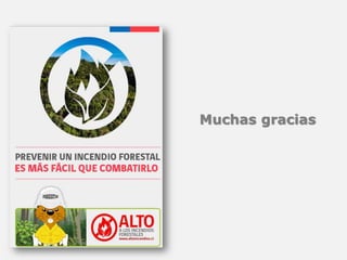 Muchas gracias
 