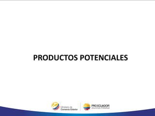 PRODUCTOS POTENCIALES
 