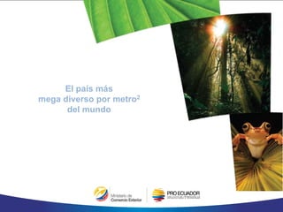 El país más
mega diverso por metro2
del mundo
 