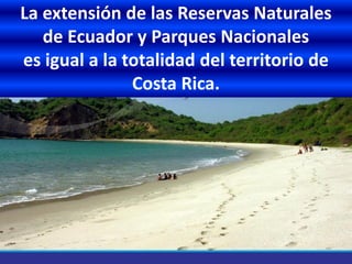 La extensión de las Reservas Naturales
de Ecuador y Parques Nacionales
es igual a la totalidad del territorio de
Costa Rica.
 