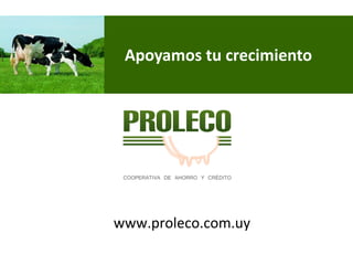 www.proleco.com.uy 
Apoyamos tu crecimiento  