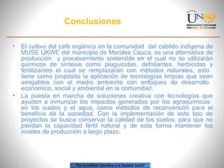 Conclusiones
•

•

El cultivo del café orgánico en la comunidad del cabildo indígena de
MUSE UKWE del municipio de Morales Cauca, es una alternativa de
producción y procesamiento sostenible en el cual no se utilizarán
químicos de síntesis como plaguicidas, defoliantes, herbicidas y
fertilizantes el cual se remplazarán con métodos naturales, esto
tiene como propósito la aplicación de tecnologías limpias que sean
amigables con el medio ambiente con enfoques de desarrollo
económico, social y ambiental en la comunidad.
La puesta en marcha de soluciones creativa con tecnologías que
ayuden a inmunizar los impactos generados por los agroquímicos
en los suelos y el agua, como métodos de reconversión para el
beneficio de la sociedad. Con la implementación de este tipo de
proyectos se busca conservar la calidad de los suelos, para que no
pierdan la capacidad fértil natural y de esta forma mantener los
niveles de producción a largo plazo.

 