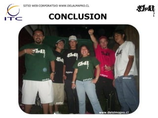 CONCLUSION SITIO WEB CORPORATIVO WWW.DELALMAPRO.CL 