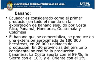 Banano:
 Ecuador es considerado como el primer
productor en todo el mundo en la
exportación de banano seguido por Costa
Rica, Panamá, Honduras, Guatemala y
Colombia.
 El banano que se comercializa, se produce en
una extensión aproximada de 180.000
hectáreas, en 28.000 unidades de
producción. En 20 provincias del territorio
continental se realiza la producción
bananera. La Costa aporta con el 89 %, la
Sierra con el 10% y el Oriente con el 1%.
 