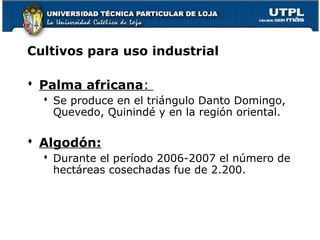 Cultivos para uso industrial
 Palma africana:
 Se produce en el triángulo Danto Domingo,
Quevedo, Quinindé y en la región oriental.
 Algodón:
 Durante el período 2006-2007 el número de
hectáreas cosechadas fue de 2.200.
 