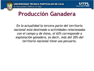 Producción Ganadera
En la actualidad la tercera parte del territorio
nacional está destinado a actividades relacionadas
con el campo y de éstos, el 63% corresponde a
explotación ganadera, es decir, más del 20% del
territorio nacional tiene uso pecuario.
 