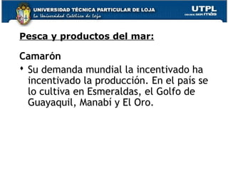 Camarón
 Su demanda mundial la incentivado ha
incentivado la producción. En el país se
lo cultiva en Esmeraldas, el Golfo de
Guayaquil, Manabí y El Oro.
Pesca y productos del mar:
 