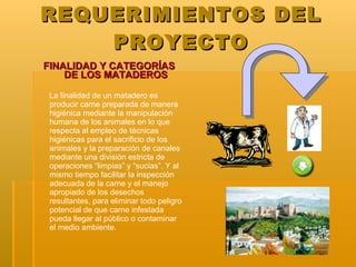 REQUERIMIENTOS DEL PROYECTO ,[object Object],[object Object]
