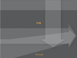 Presentacion Romina Guerra