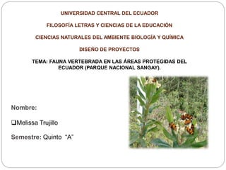 UNIVERSIDAD CENTRAL DEL ECUADOR
FILOSOFÍA LETRAS Y CIENCIAS DE LA EDUCACIÓN
CIENCIAS NATURALES DEL AMBIENTE BIOLOGÍA Y QUÍMICA
DISEÑO DE PROYECTOS
TEMA: FAUNA VERTEBRADA EN LAS ÁREAS PROTEGIDAS DEL
ECUADOR (PARQUE NACIONAL SANGAY).
Nombre:
Melissa Trujillo
Semestre: Quinto “A”
 
