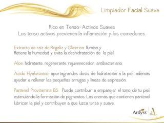Presentación Skin Care