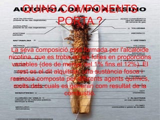 QUINS COMPONENTS PORTA ? La seva composició está formada per l'alcaloide nicotina, que es troba en les fulles en proporcions variables (des de menys del 1% fins el 12%). El rest es el dit alquitrán, una sustància fosca i resinosa composta per diferents agents químics, molts dels cuals es generan com resultat de la combustió. 