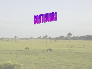 CONTINUARA 