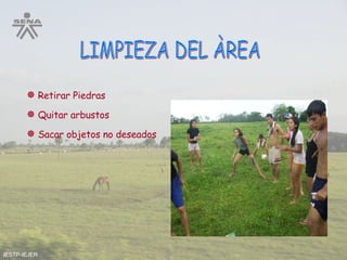 LIMPIEZA DEL ÀREA Retirar Piedras Quitar arbustos Sacar objetos no deseados IESTP-IEJER 