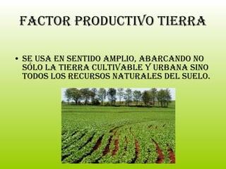 Factor productivo Tierra Se usa en sentido amplio, abarcando no sólo la tierra cultivable y urbana sino todos los recursos naturales del suelo. 