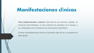 Fase indeterminada o latente: Esta fase es de duración variable, no
presenta sintomatología, no hay evidencia de parásitos en la sangre, y
son detectados por la presencia de anticuerpos específicos.
Si tiene manifestaciones clínicas el paciente deja de ser un paciente en
fase aguda.
Manifestaciones clínicas
 