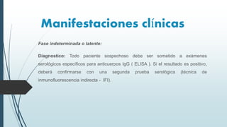Fase indeterminada o latente:
Diagnostico: Todo paciente sospechoso debe ser sometido a exámenes
serológicos específicos para anticuerpos IgG ( ELISA ). Si el resultado es positivo,
deberá confirmarse con una segunda prueba serológica (técnica de
inmunofluorescencia indirecta - IFI).
Manifestaciones clínicas
 