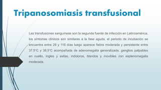Tripanosomiasis transfusional
Las transfusiones sanguíneas son la segunda fuente de infección en Latinoamérica,
los síntomas clínicos son similares a la fase aguda, el periodo de incubación se
encuentra entre 28 y 116 días luego aparece fiebre moderada y persistente entre
37.5°C y 38.5°C acompañada de adenomegalia generalizada, ganglios palpables
en cuello, ingles y axilas, indoloros, blandos y movibles con esplenomegalia
moderada.
 