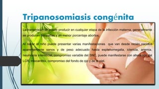 Tripanosomiasis congénita
La transmisión se puede producir en cualquier etapa de la infección materna, generalmente
se producen fetopatías y en menor porcentaje abortos.
Al nacer el niño puede presentar varias manifestaciones que van desde recién nacidos
aparentemente sanos y de peso adecuado hasta esplenomegalia, ictericia, anemia,
neumonía intersticial, compromiso variable del SNC, puede manifestarse con alteración del
LCR, miocarditis, compromiso del fondo de ojo y de la piel.
 