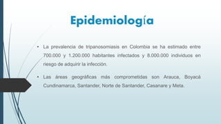 Epidemiología
• La prevalencia de tripanosomiasis en Colombia se ha estimado entre
700.000 y 1.200.000 habitantes infectados y 8.000.000 individuos en
riesgo de adquirir la infección.
• Las áreas geográficas más comprometidas son Arauca, Boyacá
Cundinamarca, Santander, Norte de Santander, Casanare y Meta.
 