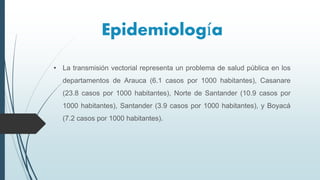 Epidemiología
• La transmisión vectorial representa un problema de salud pública en los
departamentos de Arauca (6.1 casos por 1000 habitantes), Casanare
(23.8 casos por 1000 habitantes), Norte de Santander (10.9 casos por
1000 habitantes), Santander (3.9 casos por 1000 habitantes), y Boyacá
(7.2 casos por 1000 habitantes).
 