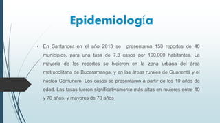 Epidemiología
• En Santander en el año 2013 se presentaron 150 reportes de 40
municipios, para una tasa de 7,3 casos por 100.000 habitantes. La
mayoría de los reportes se hicieron en la zona urbana del área
metropolitana de Bucaramanga, y en las áreas rurales de Guanentá y el
núcleo Comunero. Los casos se presentaron a partir de los 10 años de
edad. Las tasas fueron significativamente más altas en mujeres entre 40
y 70 años, y mayores de 70 años
 