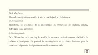 b) Acidogénesis
Llamado también fermentación ácida, la cual baja el pH del sistema.
c) Acetogénesis
Transforma los productos de la acidogénesis en precursores del metano, acetato,
hidrógeno y gas carbónico.
d) Metanogénesis
Es la última fase en la que hay formación de metano a partir de acetato, el dióxido de
carbono e hidrógeno. En general la metanogénesis es el factor limitante para la
velocidad del proceso de digestión anaeróbica como un todo.
 