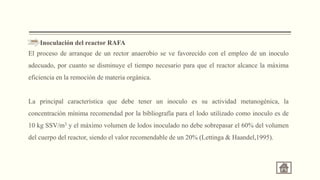 Inoculación del reactor RAFA
El proceso de arranque de un rector anaerobio se ve favorecido con el empleo de un inoculo
adecuado, por cuanto se disminuye el tiempo necesario para que el reactor alcance la máxima
eficiencia en la remoción de materia orgánica.
La principal característica que debe tener un inoculo es su actividad metanogénica, la
concentración mínima recomendad por la bibliografía para el lodo utilizado como inoculo es de
10 kg SSV/m3 y el máximo volumen de lodos inoculado no debe sobrepasar el 60% del volumen
del cuerpo del reactor, siendo el valor recomendable de un 20% (Lettinga & Haandel,1995).
 