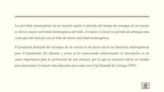 La actividad metanogénica de un inoculo regula el periodo del tiempo de arranque de un reactor
es decir a mayor actividad metanogénica del lodo, el reactor va tener un período de arranque más
corto que otro inóculo con un lodo de menor actividad metanogénica
El propósito principal del arranque de un reactor es de hacer crecer las bacterias metanogénicas
para el tratamiento del efluente y como se ha mencionado anteriormente la inoculación es de
suma importancia para la aceleración de este proceso, por lo que es necesario hacer un estudio
para determinar el inóculo más adecuado para cada caso (Van Haandel & Lettinga,1995).
 