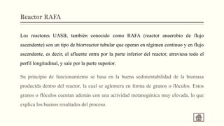Reactor RAFA
Los reactores UASB, también conocido como RAFA (reactor anaerobio de flujo
ascendente) son un tipo de biorreactor tubular que operan en régimen continuo y en flujo
ascendente, es decir, el afluente entra por la parte inferior del reactor, atraviesa todo el
perfil longitudinal, y sale por la parte superior.
Su principio de funcionamiento se basa en la buena sedimentabilidad de la biomasa
producida dentro del reactor, la cual se aglomera en forma de granos o flóculos. Estos
granos o flóculos cuentan además con una actividad metanogénica muy elevada, lo que
explica los buenos resultados del proceso.
 