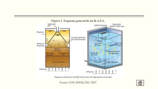 Figura 1. Esquema general de un R.A.F.A.
Fuente:VON SPERLING 2007
 
