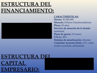 ESTRUCTURA DEL 
FINANCIAMIENTO: 
CARACTERÍSTICAS: 
Monto: 45.000.000 
Moneda: Dólares Estadounidenses 
Plazo: 10 años 
Servicio de atención de la deuda: 
semestral 
Plazo de gracia: 12 meses 
T.N.A.: 20% 
Sistema de amortización: Alemán 
Comisión Acuerdo (Flat): 2,5% sobre 
monto acordado adelantada. 
MONTO (U$S) 
EMPRESARIO U$S 19.685.766 
DEUDA FINANCIERA U$S 45.000.000 
TOTAL DE INVERSIÓN U$S 64.685.766 
ESTRUCTURA DEL 
CAPITAL 
EMPRESARIO: 
COMPOSICIÓN 
EMPRESARIO 30,43% 
DEUDA FINANCIERA 69,57% 
 