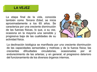 LA VEJEZ

La etapa final de la vida, conocida
también como Tercera Edad, se inicia
aproximadamente a los 65 años. Se
caracteriza por una creciente disminución
de las fuerzas físicas, lo que, a su vez,
ocasiona en la mayoría una sensible y
progresiva baja de las cualidades de su
actividad física.
La declinación biológica se manifiesta por una creciente disminución
de las capacidades sensoriales y motrices y de la fuerza física; las
crecientes   dificultades    circulatorias,  ocasionadas    por    el
endurecimiento de las arterias; y en general, el progresivo deterioro
del funcionamiento de los diversos órganos internos.
 