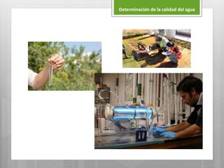 Determinación de la calidad del agua
 