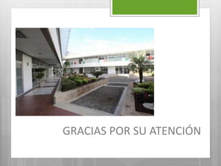 GRACIAS POR SU ATENCIÓN
 