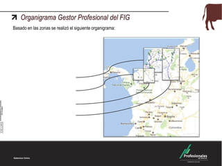 Organigrama Gestor Profesional del FIG
Basado en las zonas se realizó el siguiente organigrama:

 
