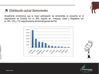 Distribución actual Semovientes
Actualmente encontramos que la mayor participación de semovientes se encuentra en el
departamento de Córdoba con un 36%, seguido de Antioquia, Cesar y Magdalena con
el, 18%, 12% y 11% respectivamente del total del ganado del FIG:

 