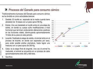 Procesos del Ganado para consumo cárnico
Tradicionalmente el proceso del Ganado para consumo cárnico
se ha dividido en cinco actividades básicas:

1.

Destete: El novillo es separado de la madre cuando tiene
alrededor de 8 meses con un peso aprox180 Kg.

2.

Estrés: Una vez destetado el novillo entra en una etapa de
estrés, en donde su cuerpo sufre modificaciones a nivel
hormonal que terminan produciendo alteraciones positivas
en las funciones vitales, disminuyendo aproximadamente
15 kilos de su peso en este periodo.

3.

Levante: finalizada la etapa de estrés, el animal entra en el
proceso de levante, en donde son separados por sexo,
para evitar posible preñez prematura, hasta lograr una
madurez con un peso aprox de 300 Kg.

4.

Ceba: es la etapa final de engorde. Una vez el animal ha
madurado, el animal se encuentra en un proceso de ceba
aproximadamente entre 300 y 450 kilos.

5.

Sacrificio.

 
