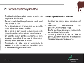 Por qué invertir en ganadería
•
•
•
•
•

•

Tradicionalmente la ganadería ha sido un sector con
muy buenas rentabilidades.
Es una inversión tangible que le permite invertir en el
campo desde su casa.
No se desvaloriza con el tiempo, sino que a medida
que el animal crece, su valor también.
Es un activo de gran liquidez, ya que siempre existe
demanda por el animal en cualquier etapa de su vida.
En Colombia existen grandes extensiones de tierra
aptas para la ganadería, lo que hace de éste un sector
estratégico en la generación de empleo.
Profesionales de Bolsa tiene el conocimiento, la
experiencia, la estructura y el personal calificado para
la administración y gestoría del Fondo.

Nuestra experiencia nos ha permitido:
•
•
•
•

Identificar las mejores zonas ganaderas del
país.
Seleccionar
adecuadamente
los
ganaderos, minimizando el riesgo.
Diseñar estrategias de compra, mantenimiento
y comercialización del ganado.
Controlar y ajustar el proceso de CEBA de
ganado, que a titulo de cuentas de participación
han sido entregados a los ganaderos.

 