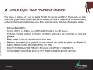 Fondo de Capital Privado “Inversiones Ganaderas”
Para apoyar la gestión del Fondo de Capital Privado “Inversiones Ganaderas”, Profesionales de Bolsa
cuenta con grupo interdisciplinario dedicado de manera exclusiva al desarrollo de la administración y
gestoría profesional, garantizando la ejecución de las funciones bajo los más altos estándares de calidad.
• Selección de ganaderos.
• Compra selectiva por rango de peso, coherentes al proceso de ceba del ganado.
• Control de inventario: Inicia con la marcación individual de cada uno de los semovientes con hierro, chip
y orejera.
• Planes periódicos de control y mantenimiento de las fincas.
• Monitoreo permanente de la ganancia de peso mensual para ajustar los planes de alimentación,
suplementos nutricionales, rotación de potreros, entre otros.
• Seguimiento a la estructura de maduración del ganado para optimizar el ciclo productivo.
• Comercialización asegurada del ganado, a través de convenios con las grandes superficies.
 
