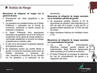 Análisis de Riesgo
Mecanismos de mitigación de riesgos con la
ganancia de peso
 Diversificación por áreas geográficas y por
ganadero.
 Los ganaderos son preseleccionados por el Gestor
Profesional y autorizados por el Comité de
Inversiones, cumpliendo un estricto proceso de
evaluación y escogencia.
 El Gestor Profesional hace seguimientos
mensuales a los ganaderos con el fin de verificar el
cumplimiento de los planes de manejo sanitarios y
nutricionales establecidos al momento de entregar
el ganado para su custodia y ceba.
 El valor de la remuneración al ganadero depende
de la ganancia de peso.
 De presentarse eventos que puedan afectar al
ganado, el Comité de Inversiones podrá tomar las
medidas preventivas y correctivas del
caso, incluyendo la terminación de los contratos
con los ganaderos y la reubicación de los
semovientes.
Mecanismos de mitigación de riesgos asociados
con la mortalidad o pérdida del ganado
 De presentarse pérdidas inferiores al 5% de
semovientes por ganadero, éste responderá por un
50% del valor de la compra. A partir del 5%, el
ganadero deberá responder por el 100% del valor
de compra.
 Bajos indicadores históricos de mortalidad (menor
a 1%).
Mecanismos de mitigación de riesgos asociados
con comercialización del ganado
 Las vías de comercialización
(frigoríficos, subastas, grandes cadenas de
supermercados, Bolsa Nacional Agropecuario)
serán evaluadas por el Comité de Inversiones.
 El Gestor Profesional se encargará de determinar
las vías de comercialización del ganado y la
negociación del mismo.
 