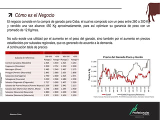 Cómo es el Negocio
El negocio consiste en la compra de ganado para Ceba, el cual es comprado con un peso entre 260 a 300 Kg
y vendido una vez alcance 450 Kg aproximadamente, para así optimizar su ganancia de peso con un
promedio de 12 Kg/mes.
No solo existe una utilidad por el aumento en el peso del ganado, sino también por el aumento en precios
establecidos por subastas regionales, que es generado de acuerdo a la demanda.
A continuación tabla de precios
PRECIOS ACTUALES POR SUBASTA
Subasta de referencia

MACHOS DE CEBA HEMBRAS DE CEBA
300-350

Rango 3
Central Ganadera (Medellin)
2.405
Cogasucre (Sincelejo)
2.900
Mercagan (Giron)
2.485
Proagan (Pereira (Risaralda))
2.843
Subacosta (Cartagena)
2.790
Subagauca (Caucasia)
3.030
Subasta Chigorodo (Chigorodo)
2.727
Subasta de Puerto Boyaca (Puerto Boyaca) 3.200
Subasta San Martin (San Martin, Meta)
2.548
Subastar (Bosconia) (Bosconia)
2.880
Subastar (Monteria) (Monteria)
2.971

>350

300-350

Rango 4 Rango 3
3.440 2.424
2.752 2.250
2.540 2.467
2.680 2.635
2.600 2.325
2.968 2.680
3.000 2.407
2.800 2.942
2.800 2.294
2.800 2.600
2.920 2.650

>350

Rango 4
3.143
2.300
2.175
2.858
2.371
2.358
2.290
2.113
2.400
2.560
2.550

 