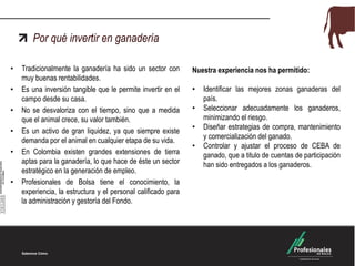 Por qué invertir en ganadería
•
•
•
•
•

•

Tradicionalmente la ganadería ha sido un sector con
muy buenas rentabilidades.
Es una inversión tangible que le permite invertir en el
campo desde su casa.
No se desvaloriza con el tiempo, sino que a medida
que el animal crece, su valor también.
Es un activo de gran liquidez, ya que siempre existe
demanda por el animal en cualquier etapa de su vida.
En Colombia existen grandes extensiones de tierra
aptas para la ganadería, lo que hace de éste un sector
estratégico en la generación de empleo.
Profesionales de Bolsa tiene el conocimiento, la
experiencia, la estructura y el personal calificado para
la administración y gestoría del Fondo.

Nuestra experiencia nos ha permitido:
•
•

•
•

Identificar las mejores zonas ganaderas del
país.
Seleccionar adecuadamente los ganaderos,
minimizando el riesgo.
Diseñar estrategias de compra, mantenimiento
y comercialización del ganado.
Controlar y ajustar el proceso de CEBA de
ganado, que a titulo de cuentas de participación
han sido entregados a los ganaderos.

 