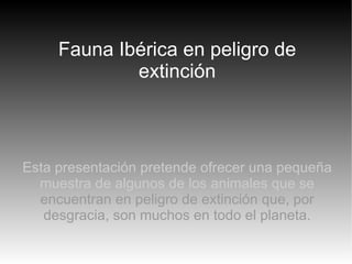 Fauna Ibérica en peligro de extinción Esta presentación pretende ofrecer una pequeña muestra de algunos de los animales que se  encuentran en peligro de extinción que, por desgracia, son muchos en todo el planeta. 