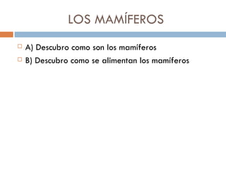 LOS MAMÍFEROS ,[object Object],[object Object]